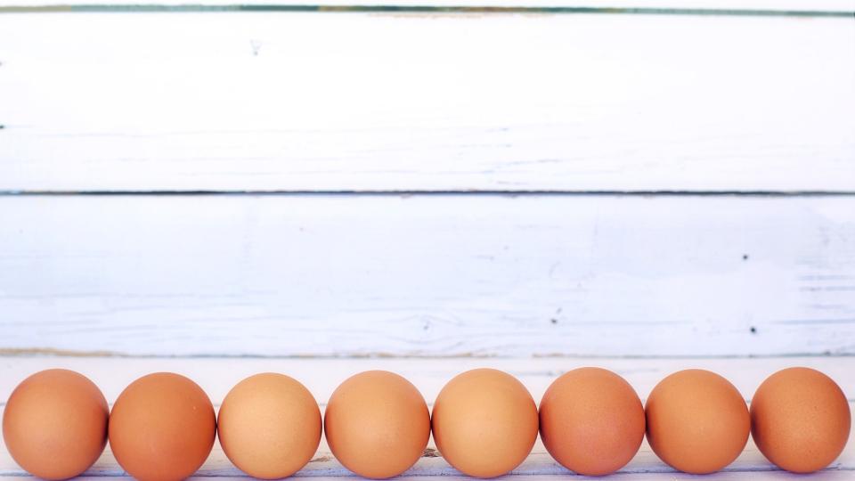 braune Eier aufgereiht vor einer weißen Holzwand